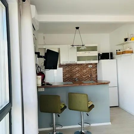 Apartament Garsoniera Darius Mamaia *